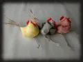 Tiput kirjavat